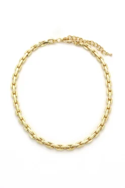 Frill Jewelry-Cable Chain Necklace