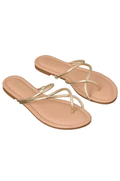 Olivia Miller Footwear-Criss Cross Sandal