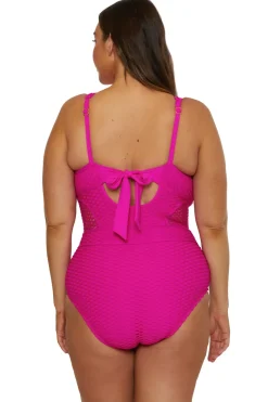 Becca Etc by Rebecca Virtue Plunge|One Pieces-Show & Tell Plunge One Piece Swimsuit